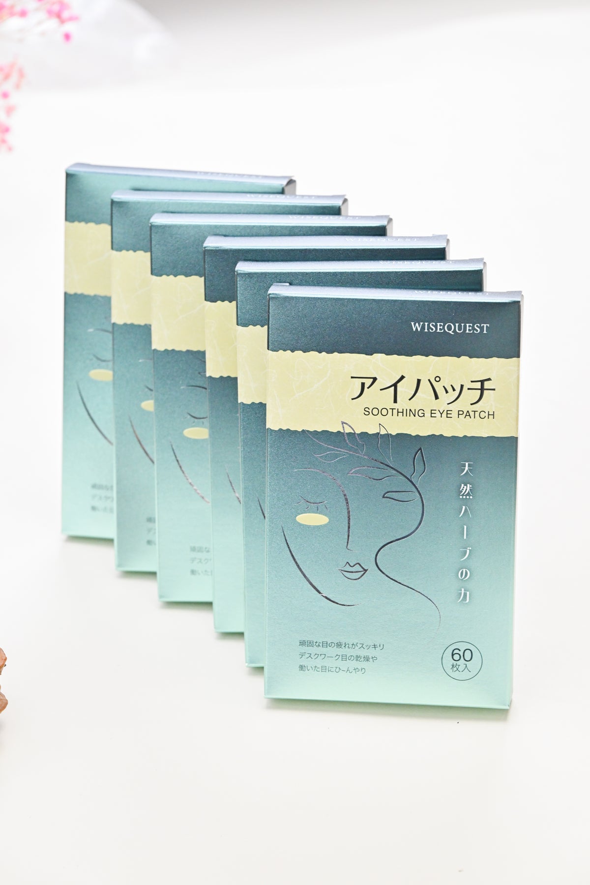 💧 <strong>Steady Care Plan</strong>
